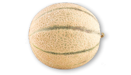 Netzmelonen