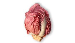 Radicchio halblang rosa